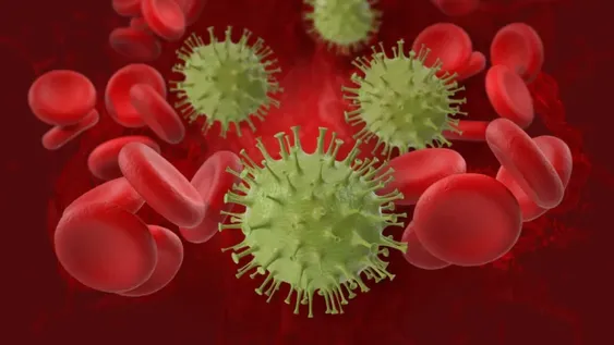 Descubren que ciertas células se cierran como un candado al detectar la presencia de covid