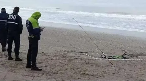 Fue a la Costa a pescar: sacó restos de un brazo