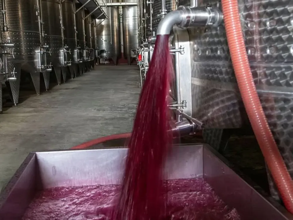 Malestar en el sector productivo por la autorización de Nación a una bodega para importar vino