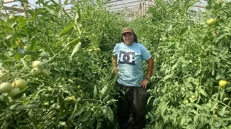 5.000 hectárea de horticultura cultiva San Juan desde el 2001