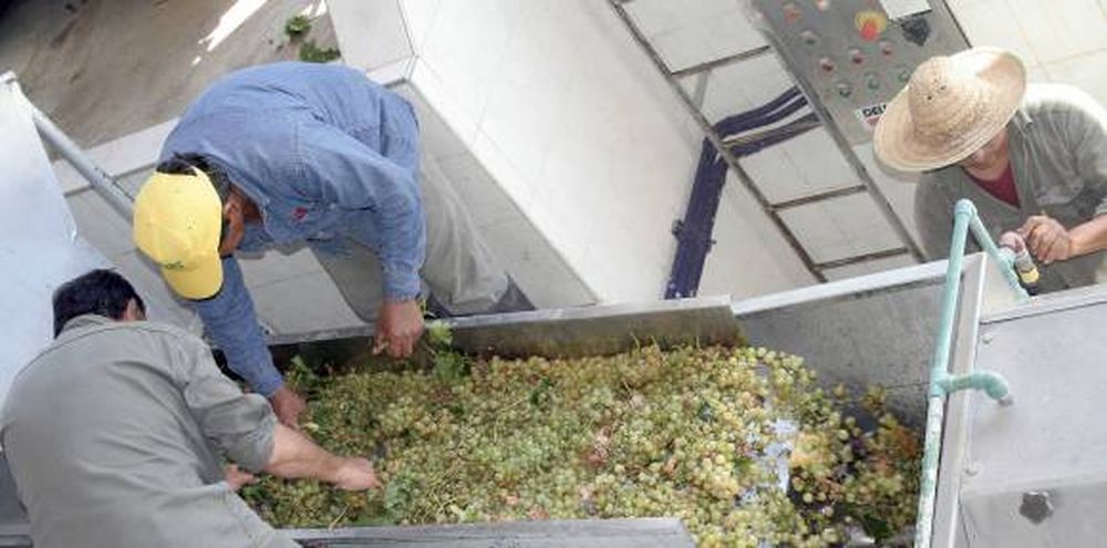 Mosto: Mendoza teme no cumplir