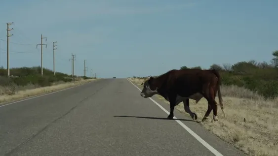 Esquivó un animal en la ruta, reventó un neumático y terminó volcando
