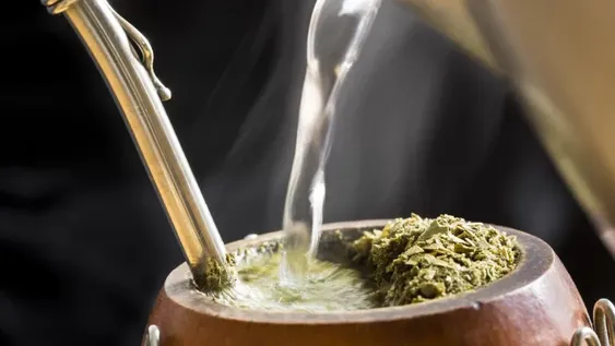 EL mate: La infusión más popular de Argentina ofrece muchos beneficios para la salud y es excelente compañera de vida.