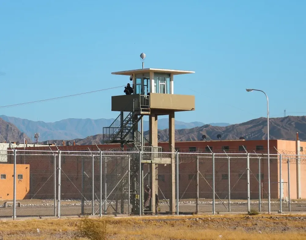 Los atraparon robando y se hicieron pasar por hijos del dueño: irán al Penal