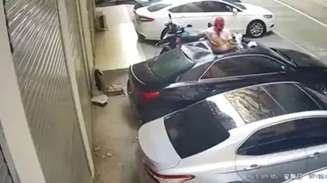 Tenía sexo en un balcón y se cayó por la baranda: aterrizó en un auto