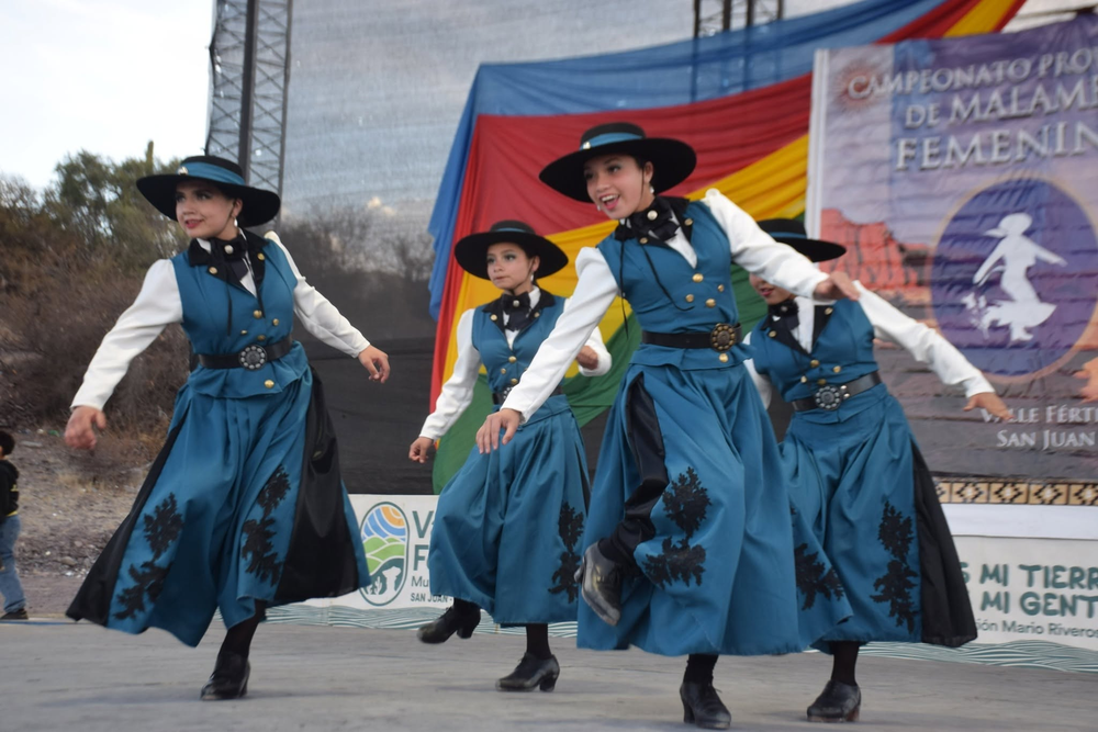 En el selectivo de Malambo Femenino que se hará en Valle Fértil se conformará la delegación que representará a San Juan en el Nacional de Córdoba.&nbsp;