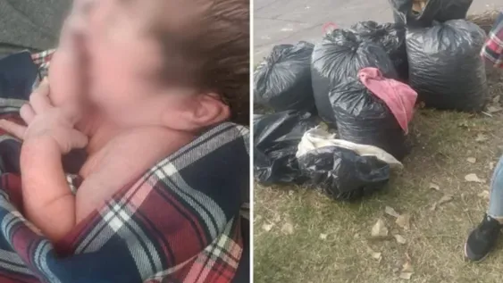 Una vecina creyó que había un gatito abandonado entre bolsas de basura y era una beba