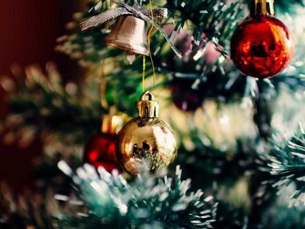 Una pareja halló una tremenda y desagradable sorpresa en el Árbol de Navidad