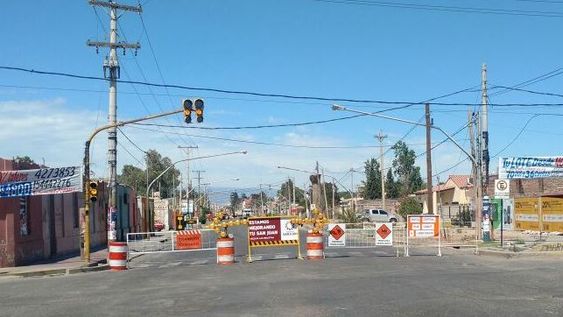 Obras en avenida Central: luego de 6 meses, terminaron con la erradicación de árboles