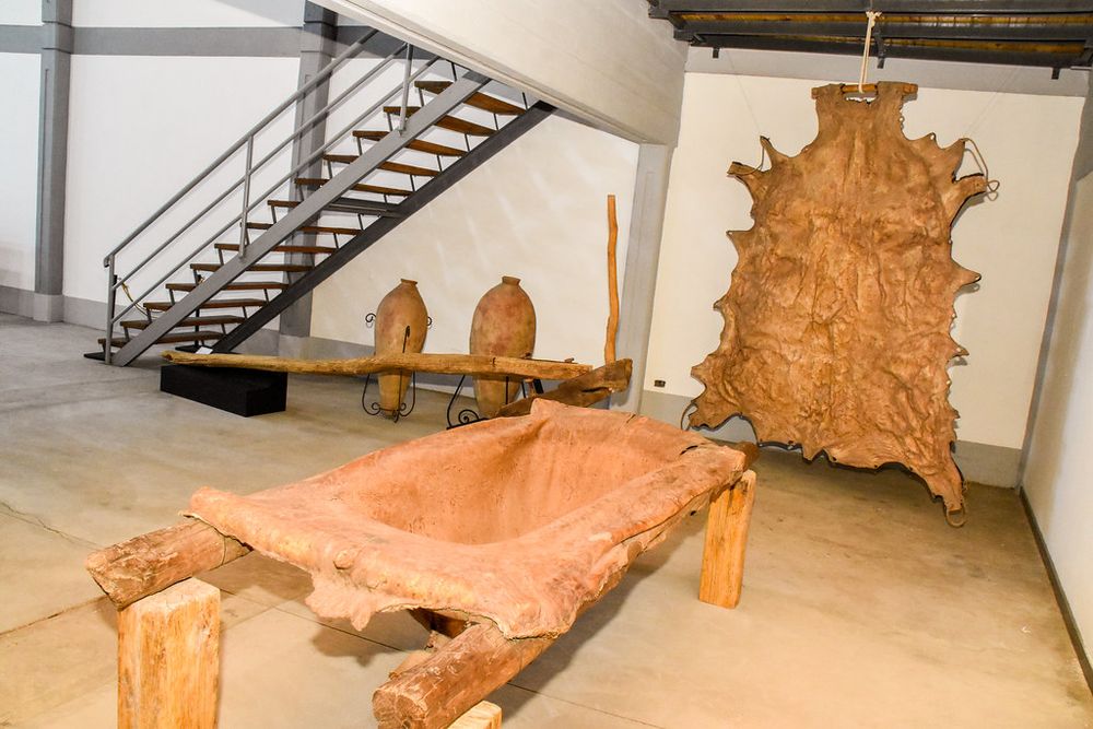 Museo Gnecco