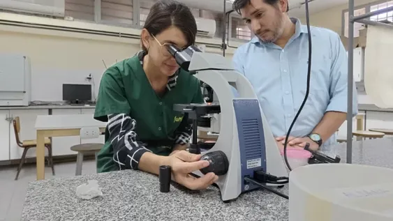 Gabriel Castillo y Cynthia  Fernández lideraron el descubrimiento de un nuevo parásito que afecta la salud del ratón andino.