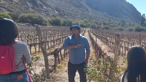 Cafayate se afirma como modelo enoturístico digno de replicar