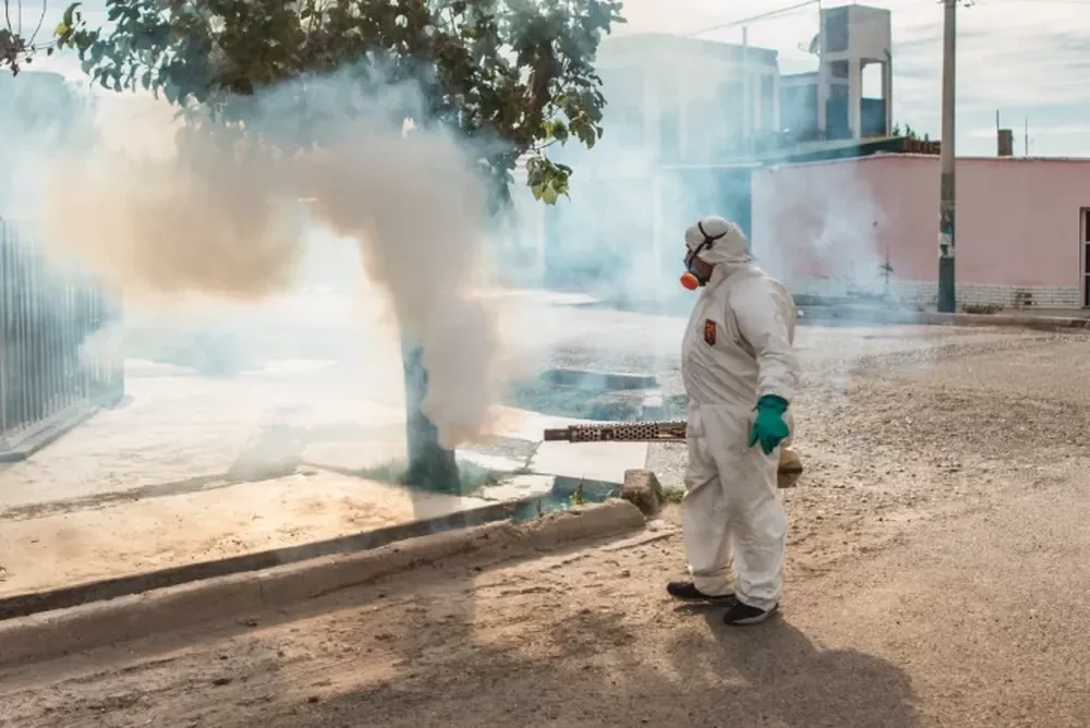 Operativos contra el dengue en Rawson