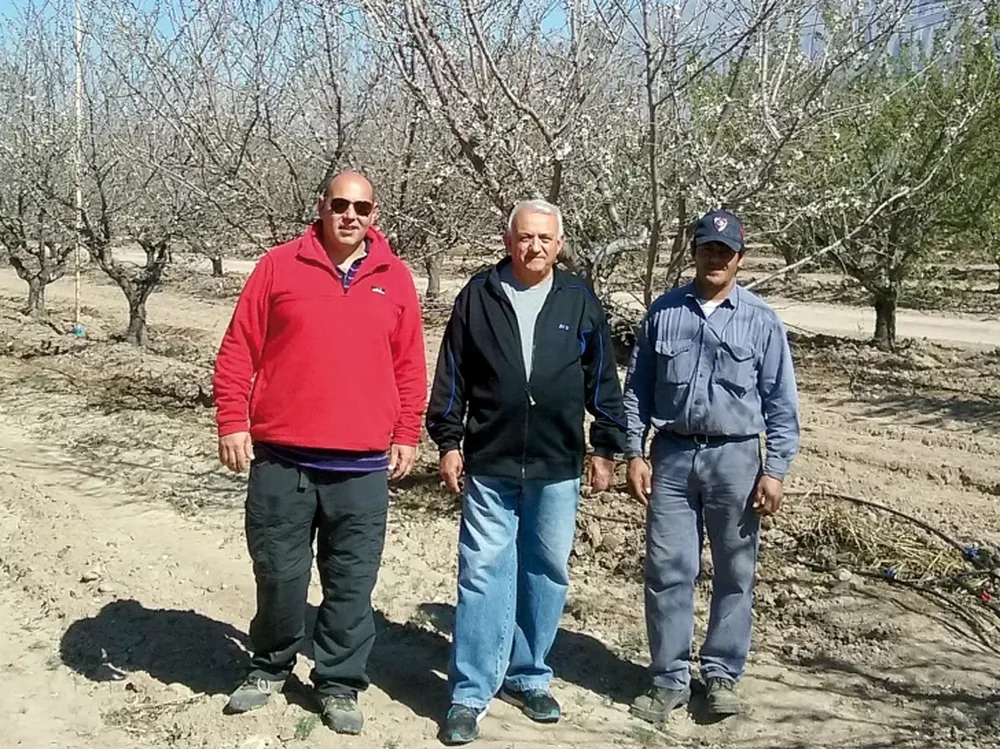 Experimentan un nuevo sistema de defensa contra heladas en almendros