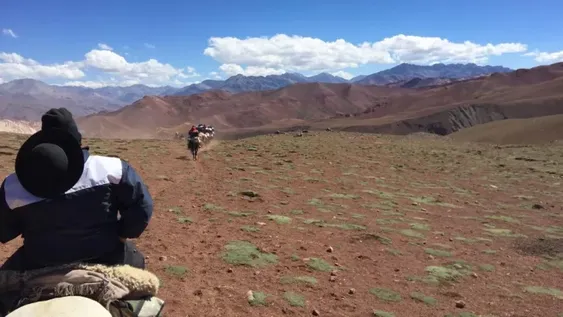 Las postales del Cruce los Andes bajo la mirada de historiadores y docentes