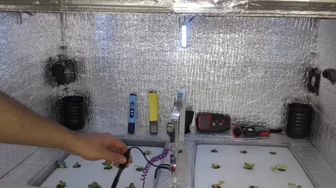 El mundo depende cada vez más de la agricultura sustentable