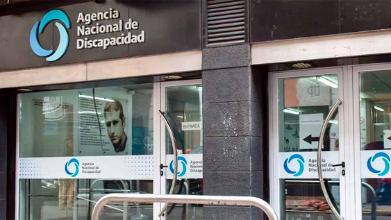 Agencia Nacional de Discapacidad (Andis).