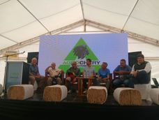 Referentes de la producción, la comercialización y la investigación del ajo compartieron mesa en el auditorio Banco San Juan de Expo Innova Cuyo. El diagnóstico fue unánime: sin recuperar superficie, el sector sanjuanino seguirá a merced de los precios que marque China.