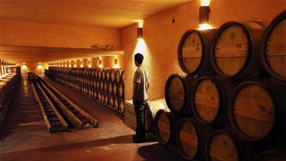 Uno de los grandes jugadores de la industria saldrá a comprar uva en medio de las especulaciones