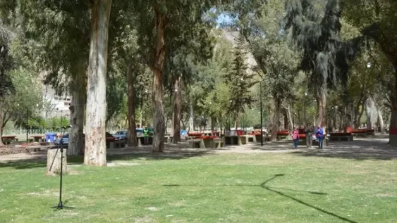 El Camping El Pinar será escenario de una noche romántica de autocine.