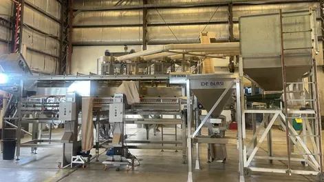 Una primavera vertiginosa provocó un 50% de merma en el pistacho