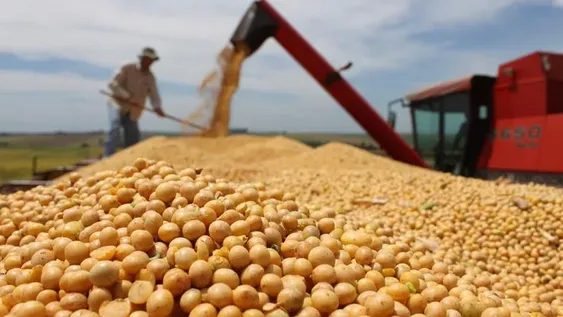 Completaron el pago a productores de soja de las provincias del Plan Belgrano