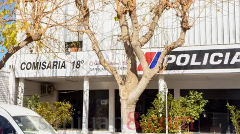 Albardón: un anciano podaba un árbol, cayó y murió en el acto
