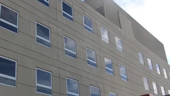 Un padre y su hijo terminaron con heridas tras ser atacados por un perro