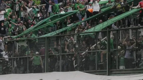 Diario de Cuyo | ddc121021 030f02 575x728.webp