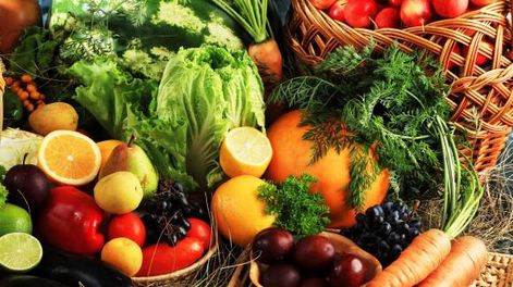 Alimentación en invierno