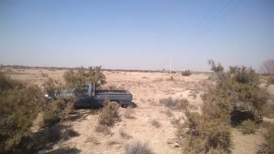 Robaron de una casa una Peugeot 504 y luego fue hallada abandonada