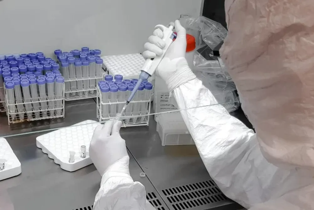 Mutación: hallan un coronavirus 6 veces más peligroso al infectar