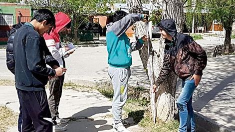 Arrancó el censo de arbolado en la zona de San Isidro de Jáchal
