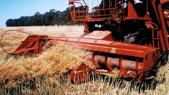 Paro del campo: “No habrá suba de precio ni desabastecimiento”, dicen