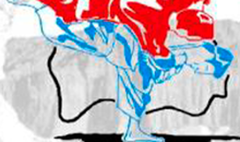 Federación Sanjuanina de Judo.