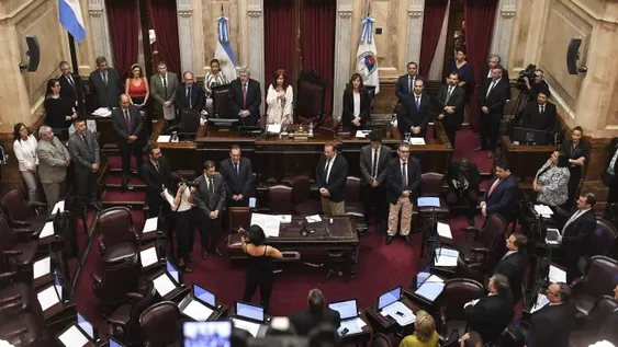 De madrugada, el Senado convirtió en ley el proyecto de solidaridad