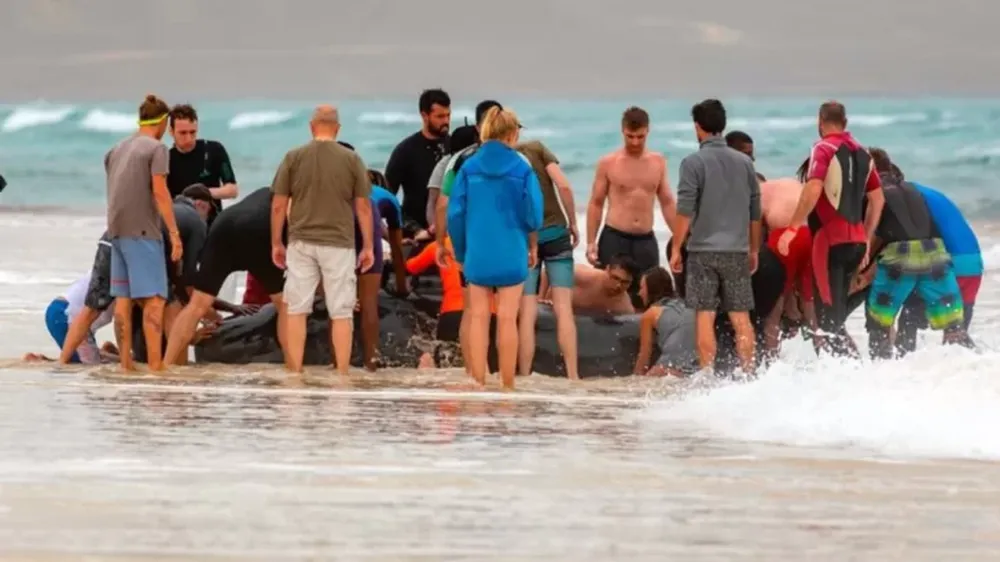 Devolvieron al mar una ballena encallada y se la devoraron los tiburones