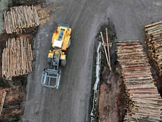 decretaron la quiebra de una historica fabrica de pallets y rematan sus bienes: cerro y dejo 130 despedidos