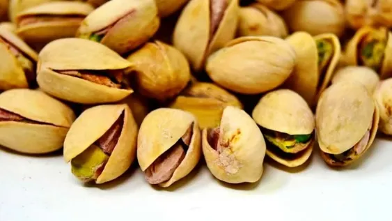 La mitad de los proyectos que se presentaron en el premio tuvieron apoyo en alguna de sus instancias por parte de Ciencia y Tecnología.