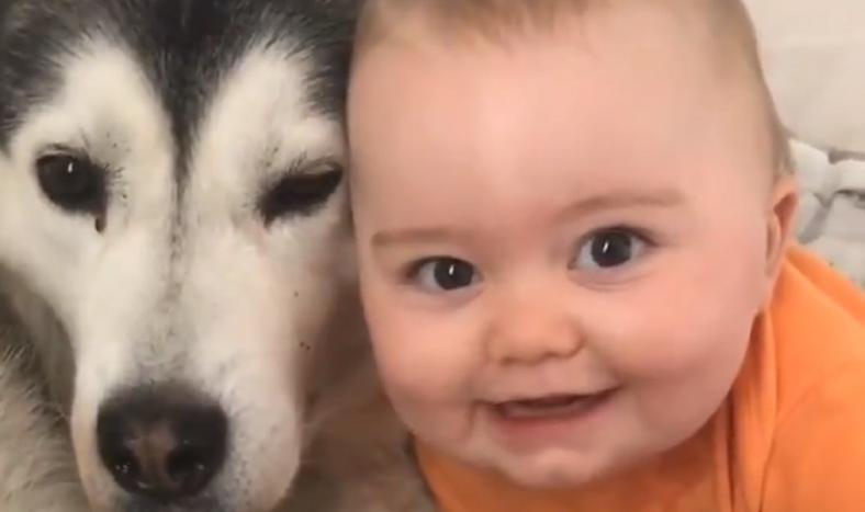 Un conmovedor y tierno video en Tik Tok generó suspiros en las redes