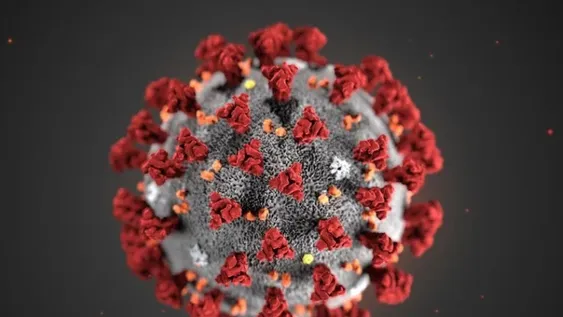 Las muertes por coronavirus en el mundo disminuyeron casi 90% desde enero