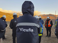 la letra chica del fallo que blindo al proyecto vicuna y fijo los limites para cualquier interferencia la letra chica del fallo que blindo al proyecto vicuna y fijo los limites para cualquier interferencia