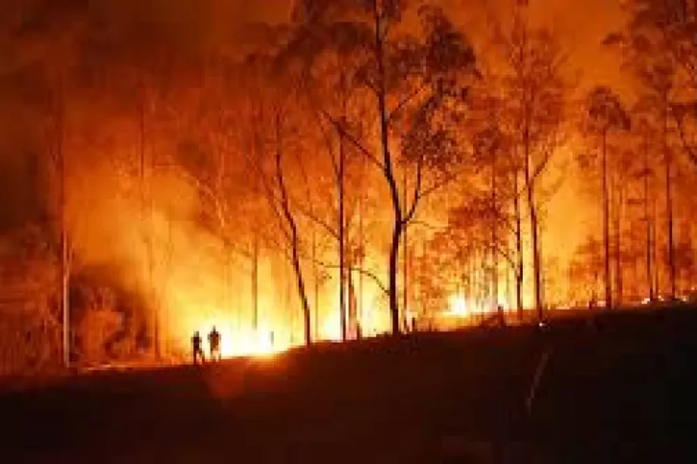 Una variación genética de la testosterona explicaría cuadros más graves en hombres
