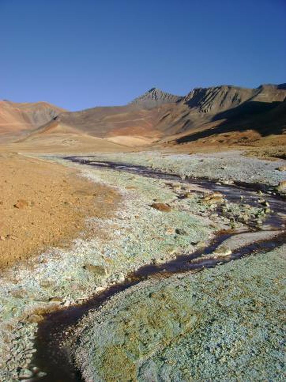 Achicarse para crecer en tiempos de crisis