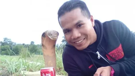 El encantador de serpientes más famoso del mundo murió mordido por una cobra