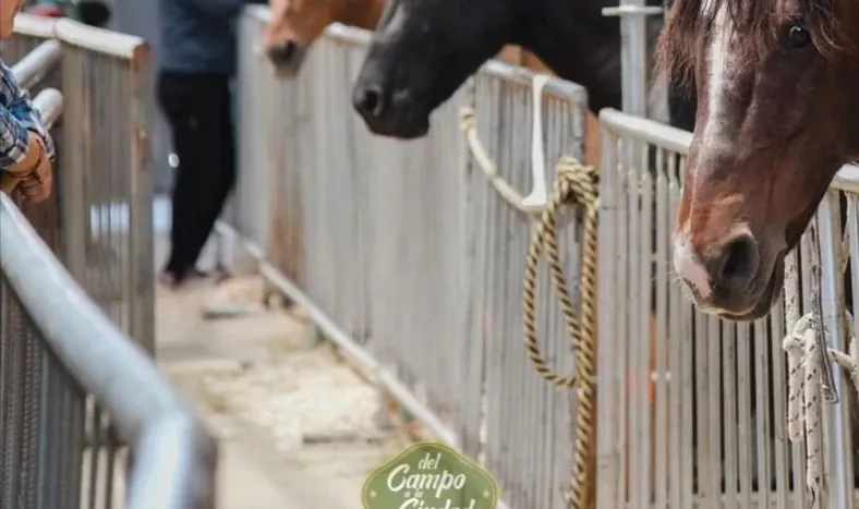 Expo Rural 2022, una nueva cita con la agroindustria