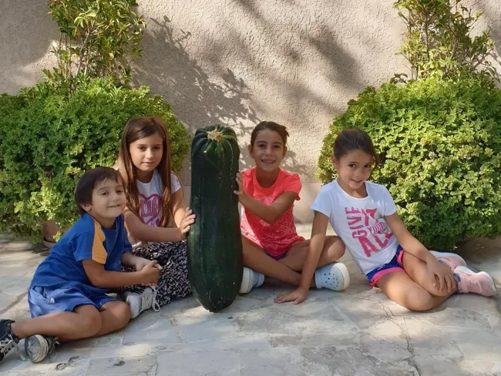 Un super zapallo de la variedad Angola