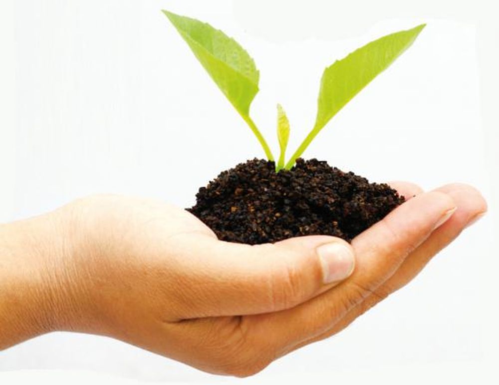 Las claves del Capital Semilla