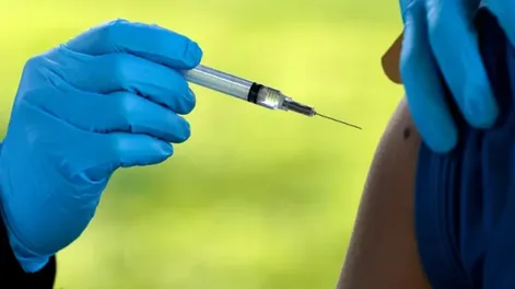 Vacuna contra el dengue en la Argentina: cuándo llega y cuánto costará