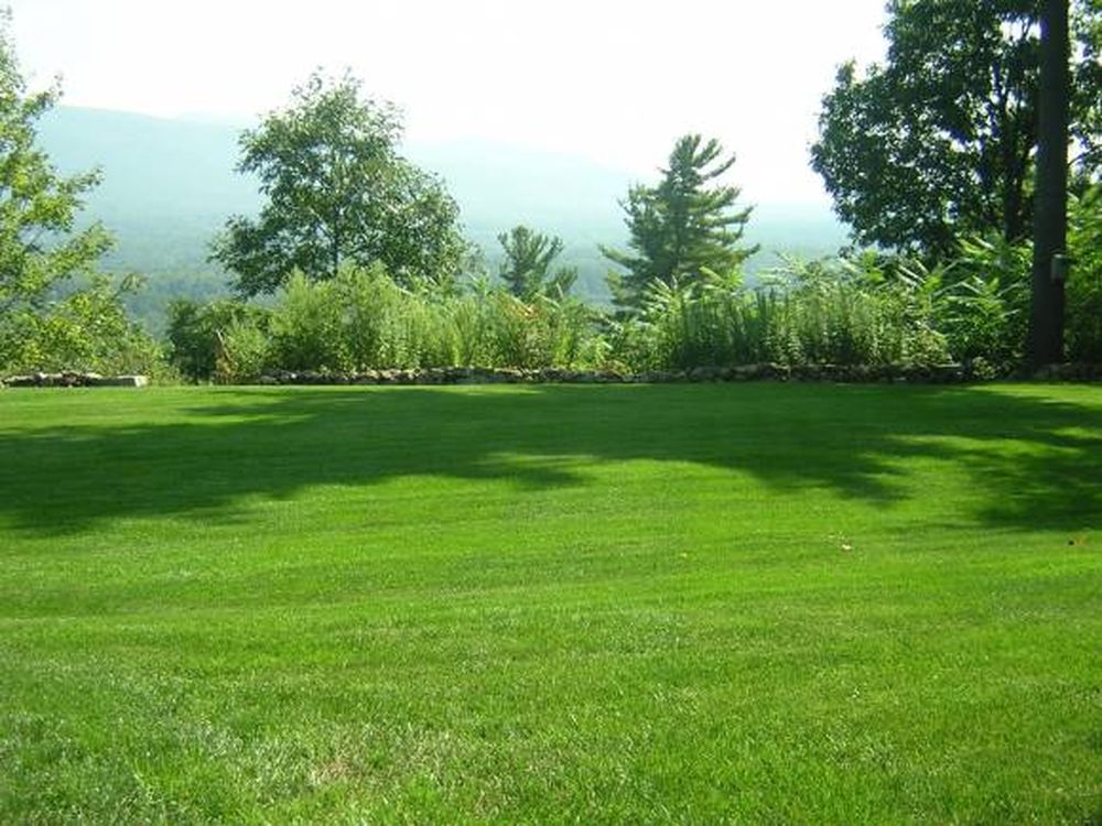 La clave verde del jardín